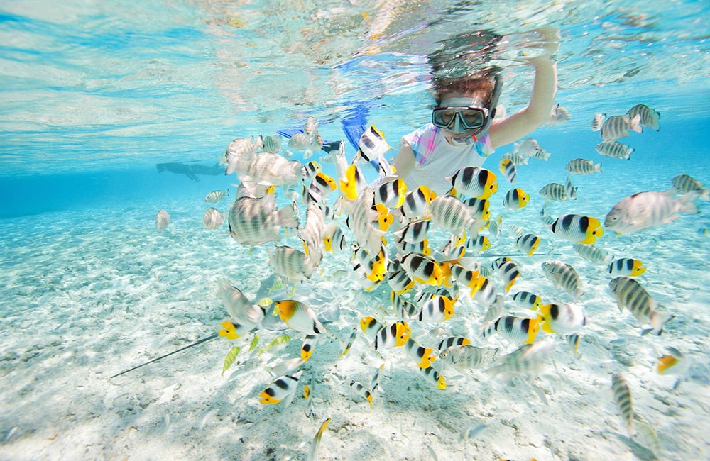 snorkeling