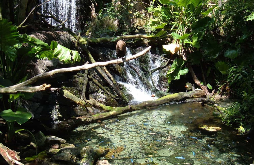 koh rong trekking