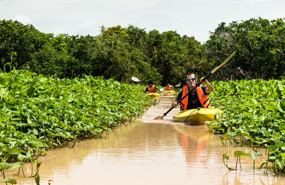 Tonle Sap