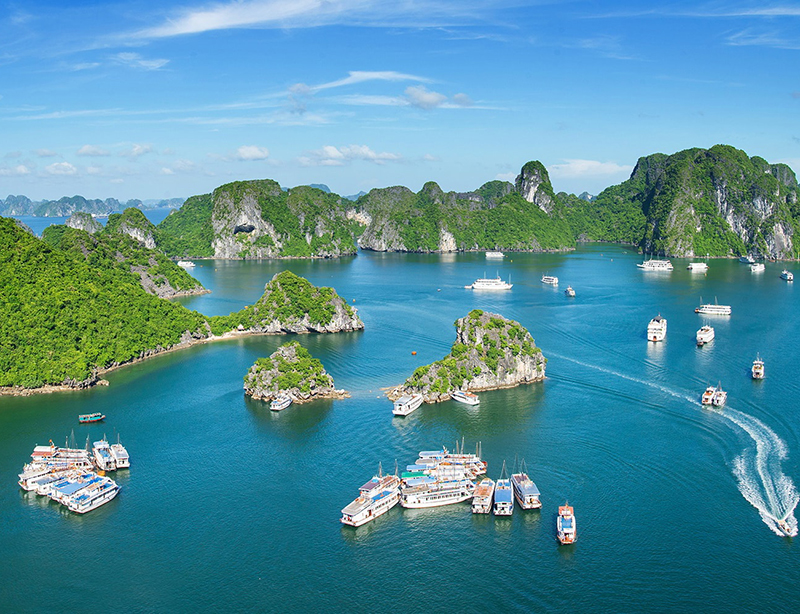 Tour halong bay