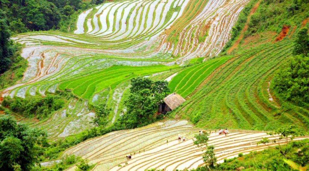 sapa trekking