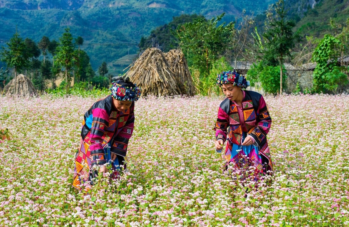 ha giang