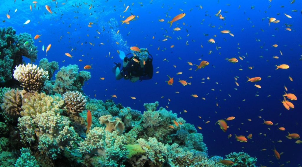 vietnam scuba diving