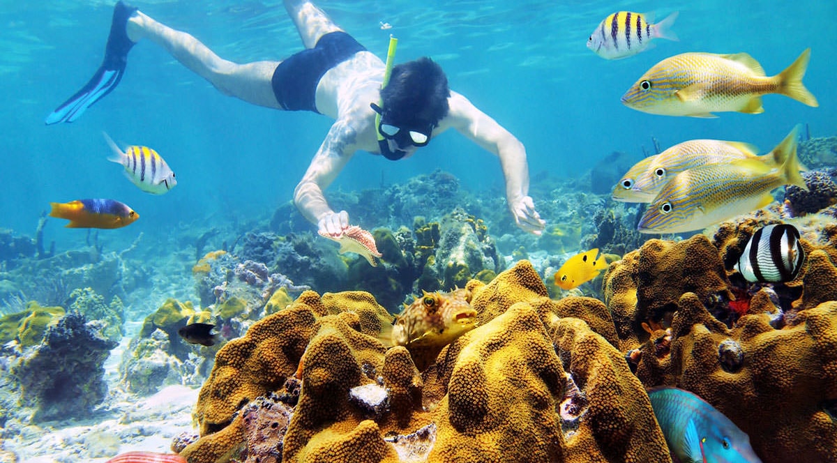 vietnam scuba diving