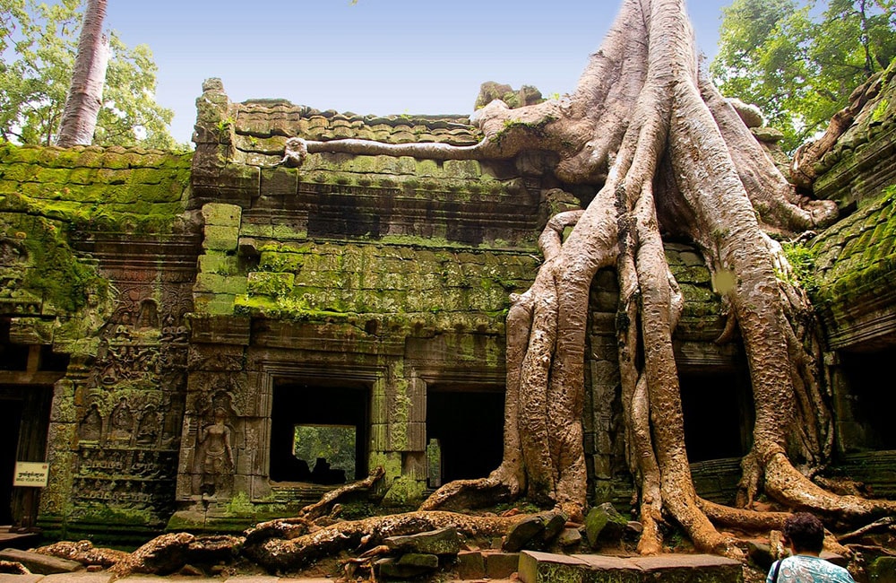 Ta Prohm temple in Siem Reap