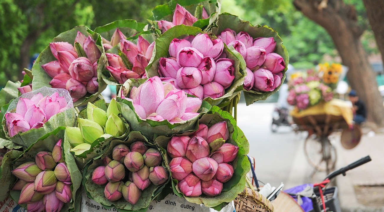 Hanoi