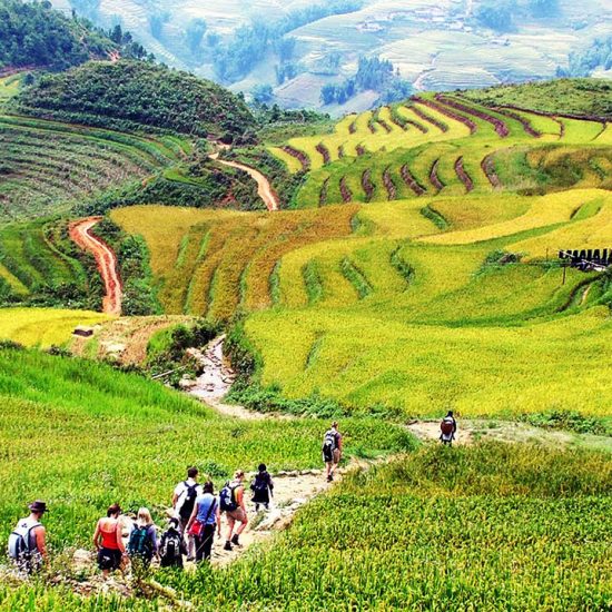 sapa trekking tours