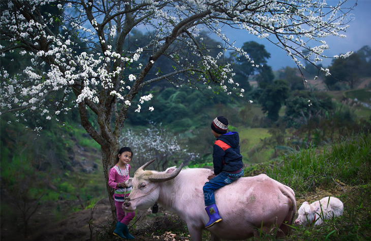 northern-vietnam-tour