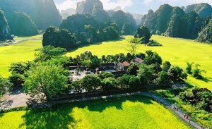 hoa lu Ninh binh