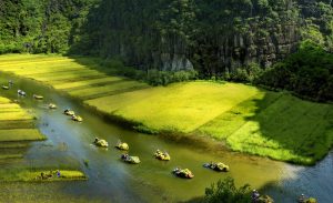 tam con rich dong Ninh binh