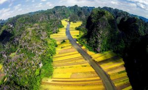 lua chin o Ninh binh