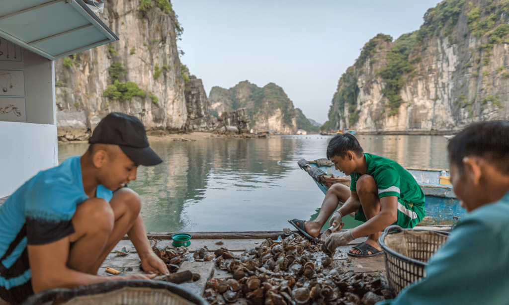 fishing village in halong