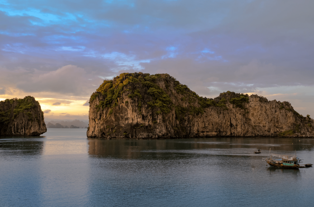 bai tu long bay