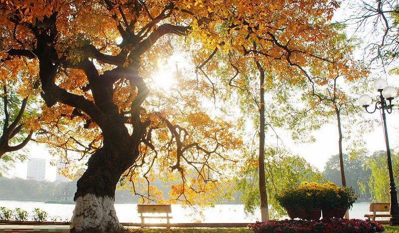 autumn in hue