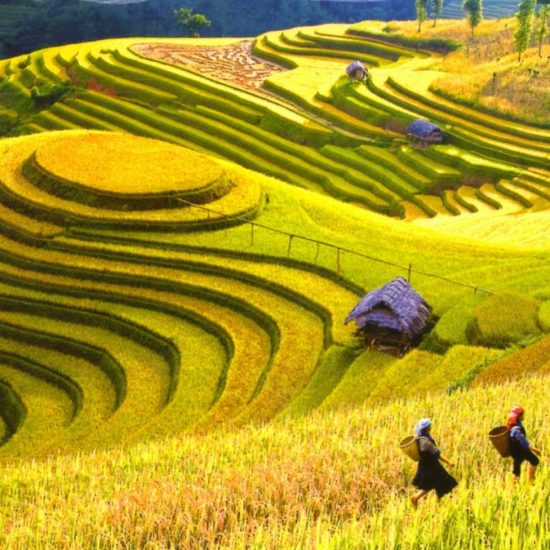 Tour Sapa