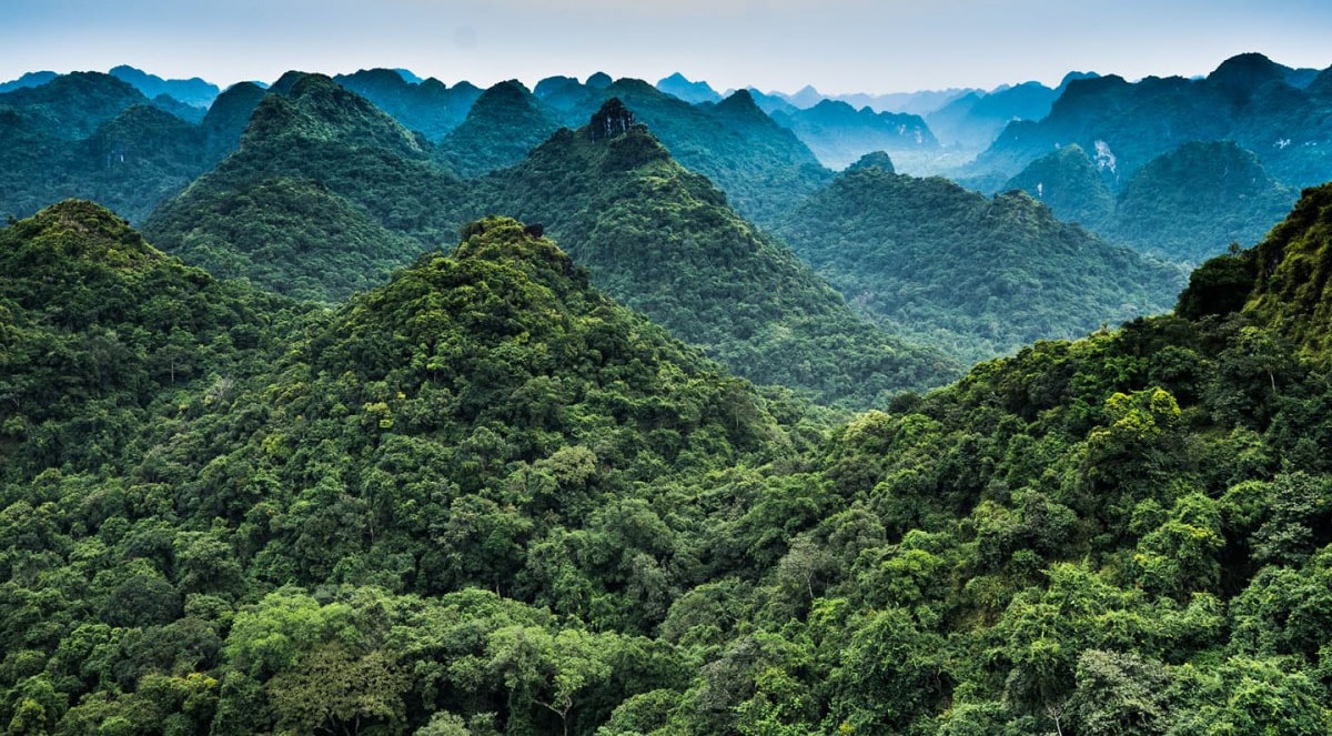 cat ba national park