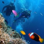 Phu Quoc Fishing And Snorkeling 1 Day