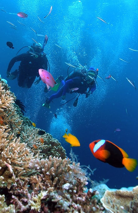 Phu Quoc Fishing And Snorkeling 1 Day